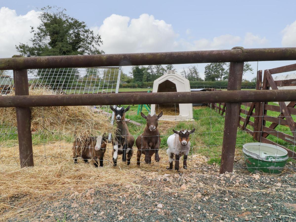 스태퍼드 The Pod At Bank House Farm 빌라 외부 사진